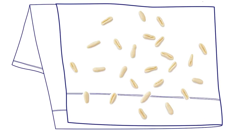 ricetta pasta fresca, asciugatura cavatelli