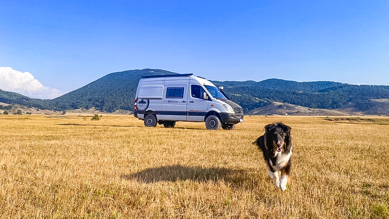 vivere-outdoor-dog-trekking