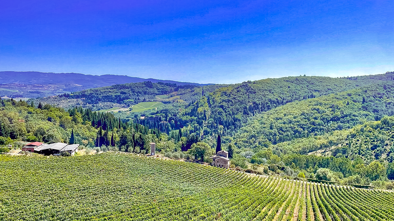 vinitaly-2024-presenze-e-novità